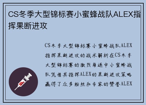 CS冬季大型锦标赛小蜜蜂战队ALEX指挥果断进攻