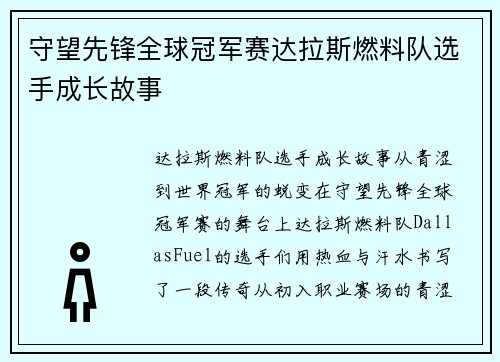 守望先锋全球冠军赛达拉斯燃料队选手成长故事